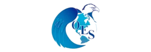OES confía en Onilog Group para gestionar sus operaciones logísticas en México.